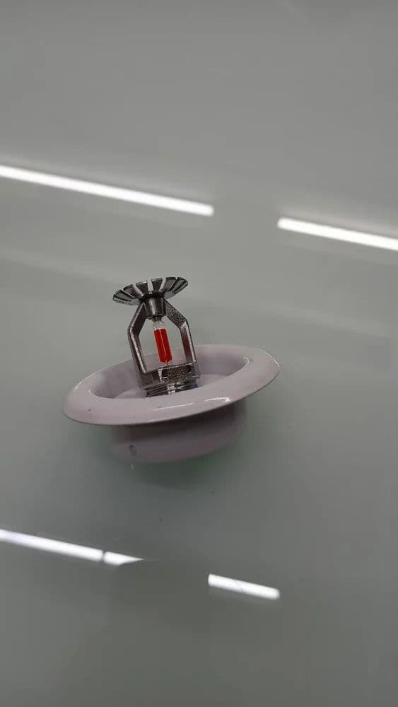 Rosette Plate Fire Sprinklers